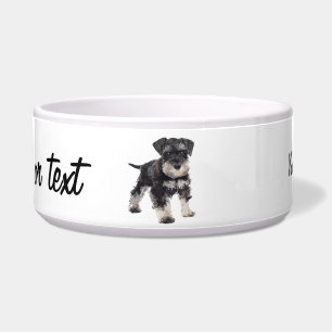 To Cute Puppy Miniature Schnauzer Dog Voerbakje