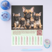 To sell Frenchies Puppy Flyer (Enkel)