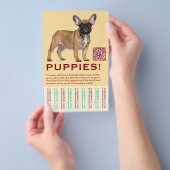 To sell Frenchies Puppy Flyer (Hand)