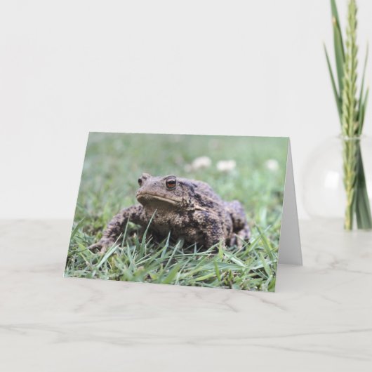Toad-briefkaart Kaart (Voorkant)