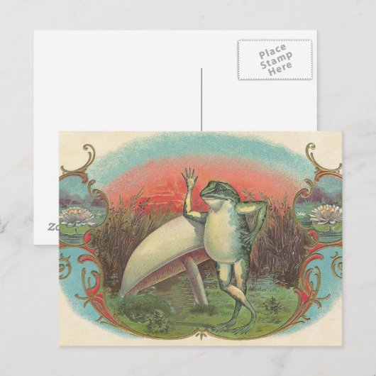 Toad en paddenstoel briefkaart (Voorkant / Achterkant)