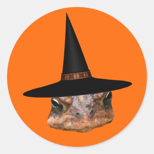 Toad Face Witch Pet Halloween Funny Ronde Sticker (Voorkant)
