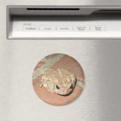 Toad Frog Magnet (Insitu (Vaatwasser))