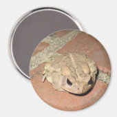 Toad Frog Magnet (Voorkant / Achterkant)