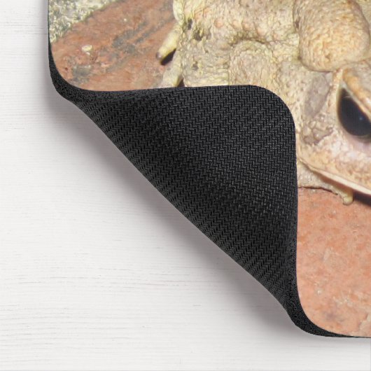 Toad Frog Muismat (Hoek)