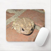 Toad Frog Muismat (Met muis)