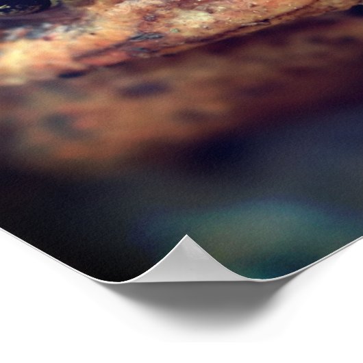 Toad helemaal dicht bij elkaar poster (Hoek)