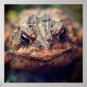 Toad helemaal dicht bij elkaar poster (Voorkant)