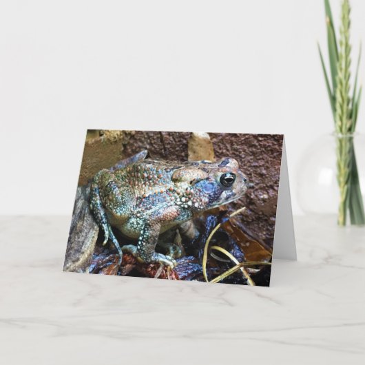 Toad, kaart (Voorkant)