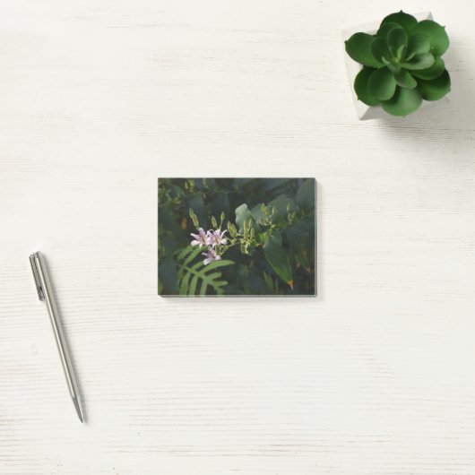 Toad Lily in de schijnwerpers. Post-it® Notes (Kantoor)