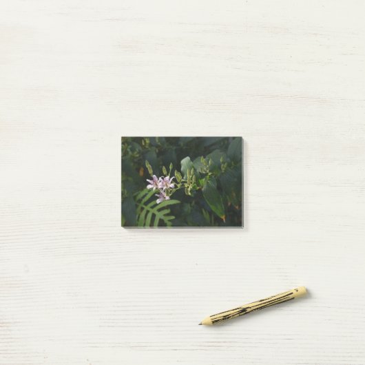 Toad Lily in de schijnwerpers. Post-it® Notes (Op bureau)
