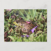 Toad Love Briefkaart (Voorkant)