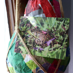 Toad Love Briefkaart