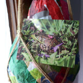 Toad Love Briefkaart