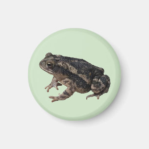 Toad Magneet