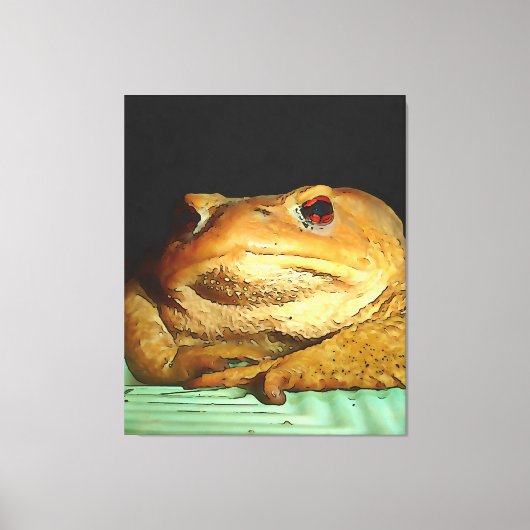 Toad met filosofische schilderingen canvas afdruk (Voorkant)