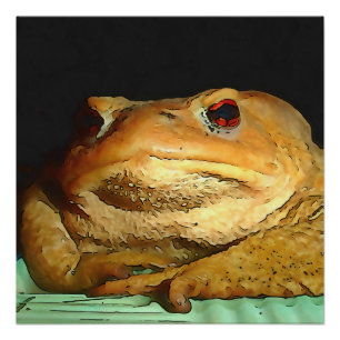 Toad met filosofische schilderingen perfect poster