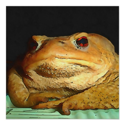 Toad met filosofische schilderingen perfect poster (Voorkant)