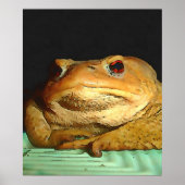 Toad met filosofische schilderingen poster (Voorkant)