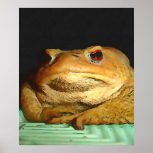 Toad met filosofische schilderingen