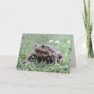 Toad notecard kaart