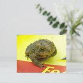 Toad op het Briefkaart Bag (Staand voorkant)