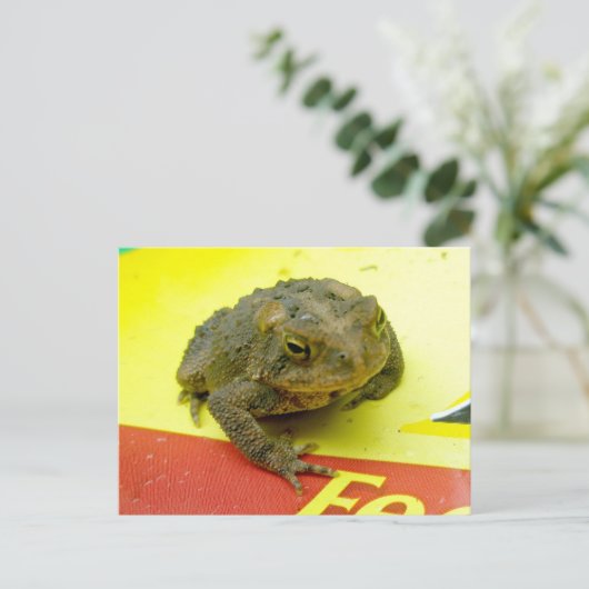 Toad op het Briefkaart Bag (Staand voorkant)