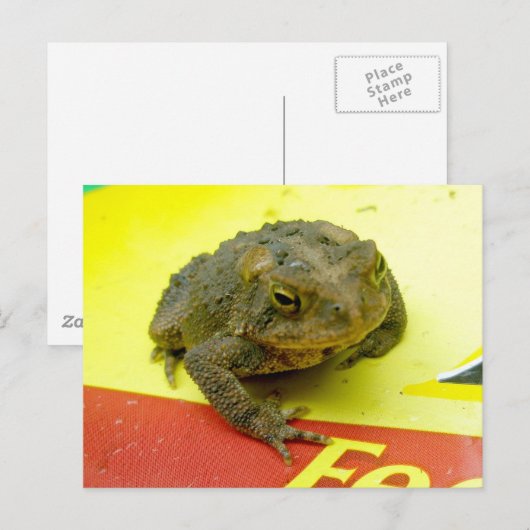 Toad op het Briefkaart Bag (Voorkant / Achterkant)
