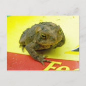 Toad op het Briefkaart Bag (Voorkant)