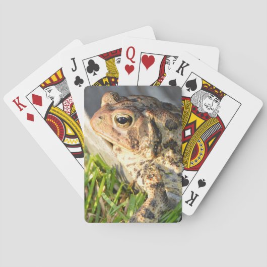 Toad Pokerkaarten (Achterkant)