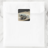 Toad Stickers (Tas)