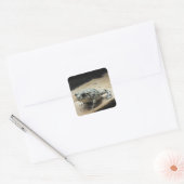 Toad Stickers (Envelop)