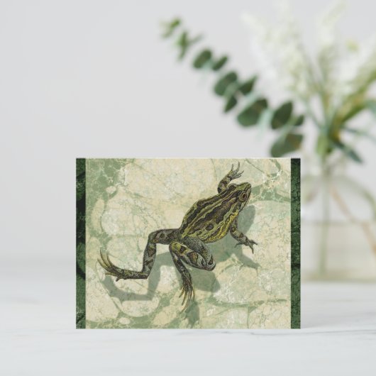 Toad Swinning in het water Briefkaart (Staand voorkant)