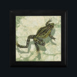 Toad Swinning in het water Cadeaudoosje<br><div class="desc">Vision Studio gebruikt de giclée (Frans voor "to spray") techniek in dit kunststuk. Het maakt het uniek en de verschillende groene tinten leggen de nadruk op de vreugde op dit afbeelding. Kies dit kunstwerk voor uw volgende Zazzle product.</div>