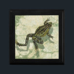 Toad Swinning in het water Cadeaudoosje<br><div class="desc">Vision Studio gebruikt de giclée (Frans voor "to spray") techniek in dit kunststuk. Het maakt het uniek en de verschillende groene tinten leggen de nadruk op de vreugde op dit afbeelding. Kies dit kunstwerk voor uw volgende Zazzle product.</div>