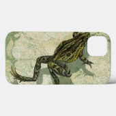 Toad Swinning in het water Case-Mate iPhone Case (Achterkant (horizontaal))