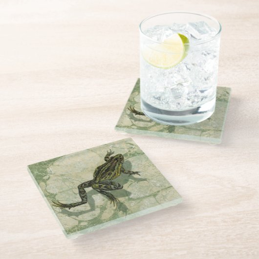 Toad Swinning in het water Glazen Onderzetter (Schuin)