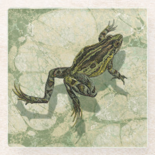 Toad Swinning in het water Glazen Onderzetter