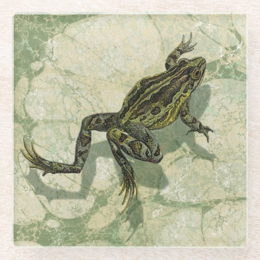 Toad Swinning in het water Glazen Onderzetter (Voorkant)