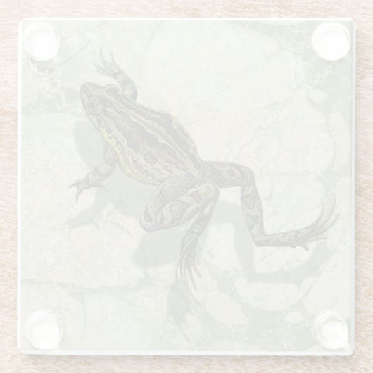 Toad Swinning in het water Glazen Onderzetter (Achterkant)