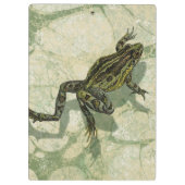 Toad Swinning in het water Klembord (Achterkant)