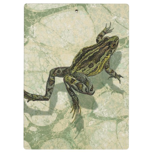 Toad Swinning in het water Klembord (Achterkant)