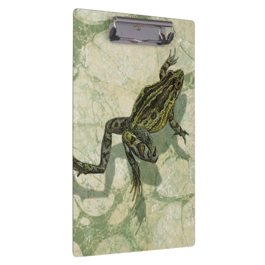 Toad Swinning in het water Klembord (Rechts)