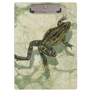 Toad Swinning in het water Klembord