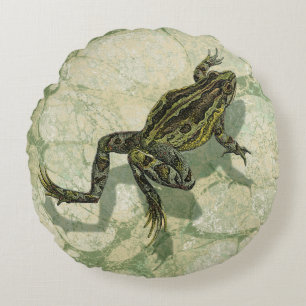 Toad Swinning in het water Rond Kussen