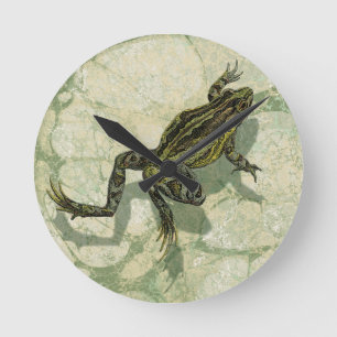 Toad Swinning in het water Ronde Klok