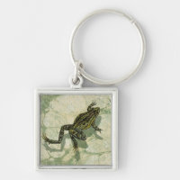 Toad Swinning in het water