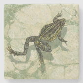Toad Swinning in het water Stenen Onderzetter (Voorkant)