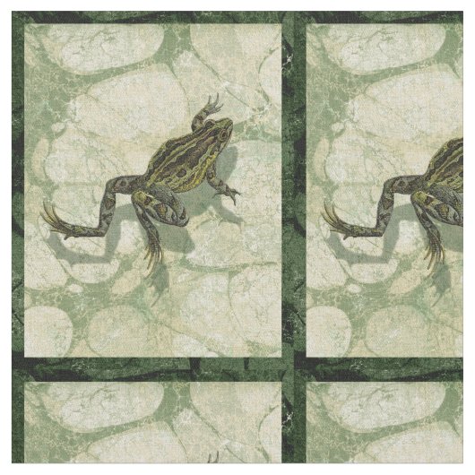 Toad Swinning in het water Stof (Close Up)