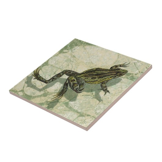 Toad Swinning in het water Tegeltje (Zijkant)